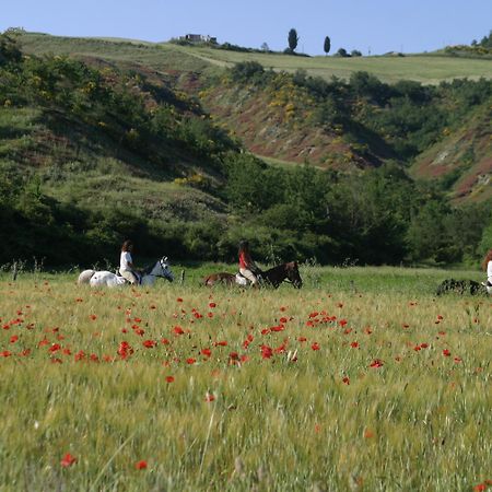 Il Poggio ξενώνας Celle sul Rigo Εξωτερικό φωτογραφία