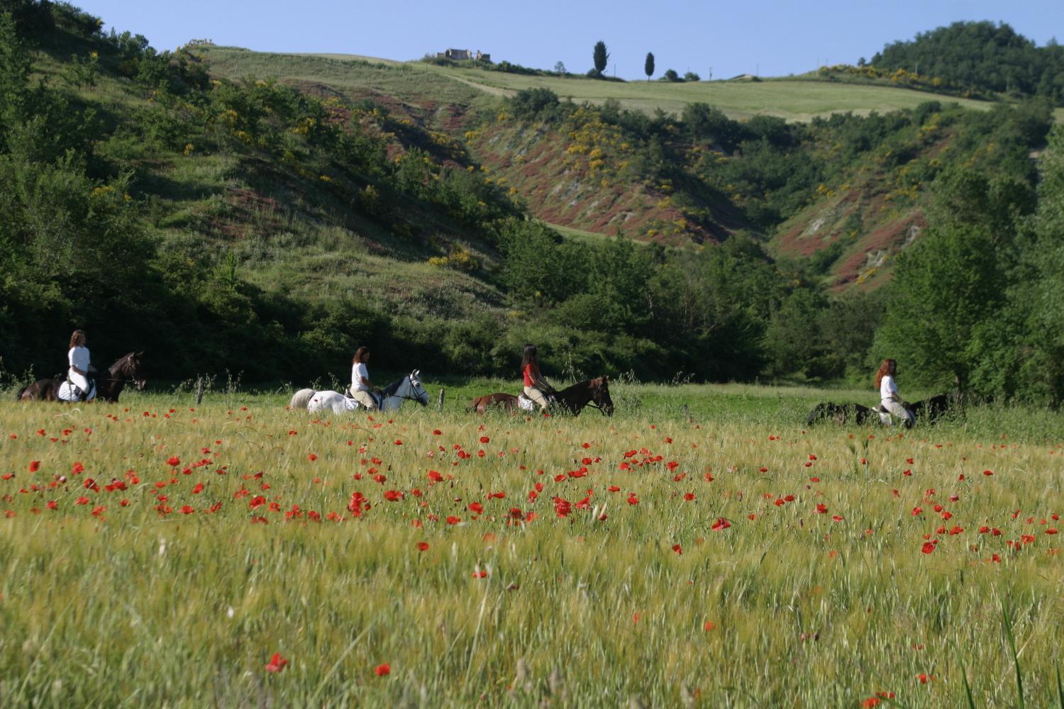 Il Poggio ξενώνας Celle sul Rigo Εξωτερικό φωτογραφία
